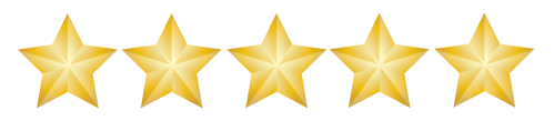 5 stjerner anmeldelse