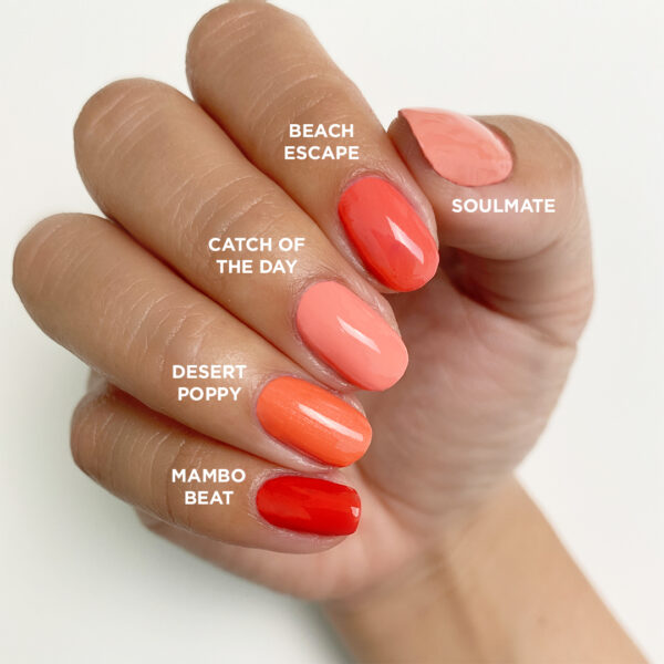 Catch Of The Day Vinylux #352 - Image 4